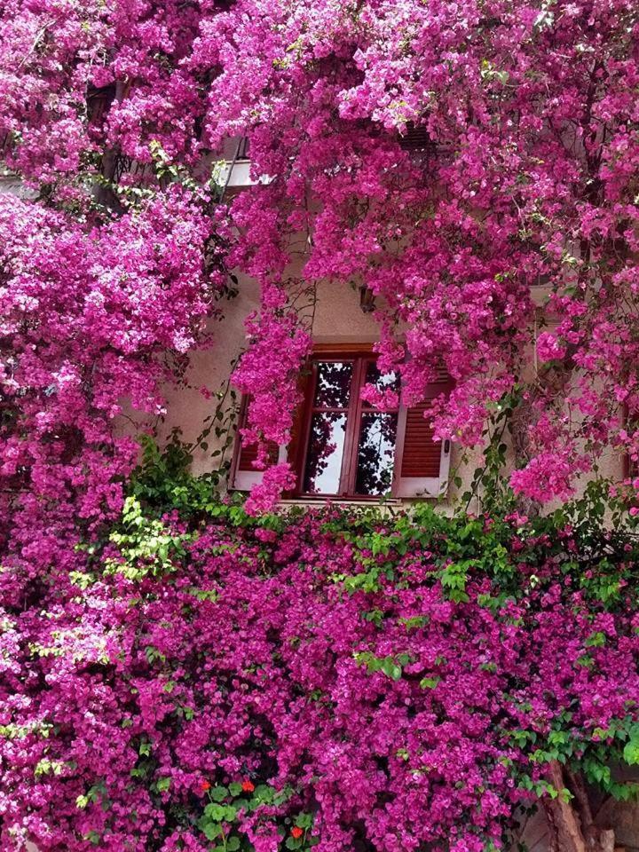 Iliolithos Rooms Кардамили Екстериор снимка