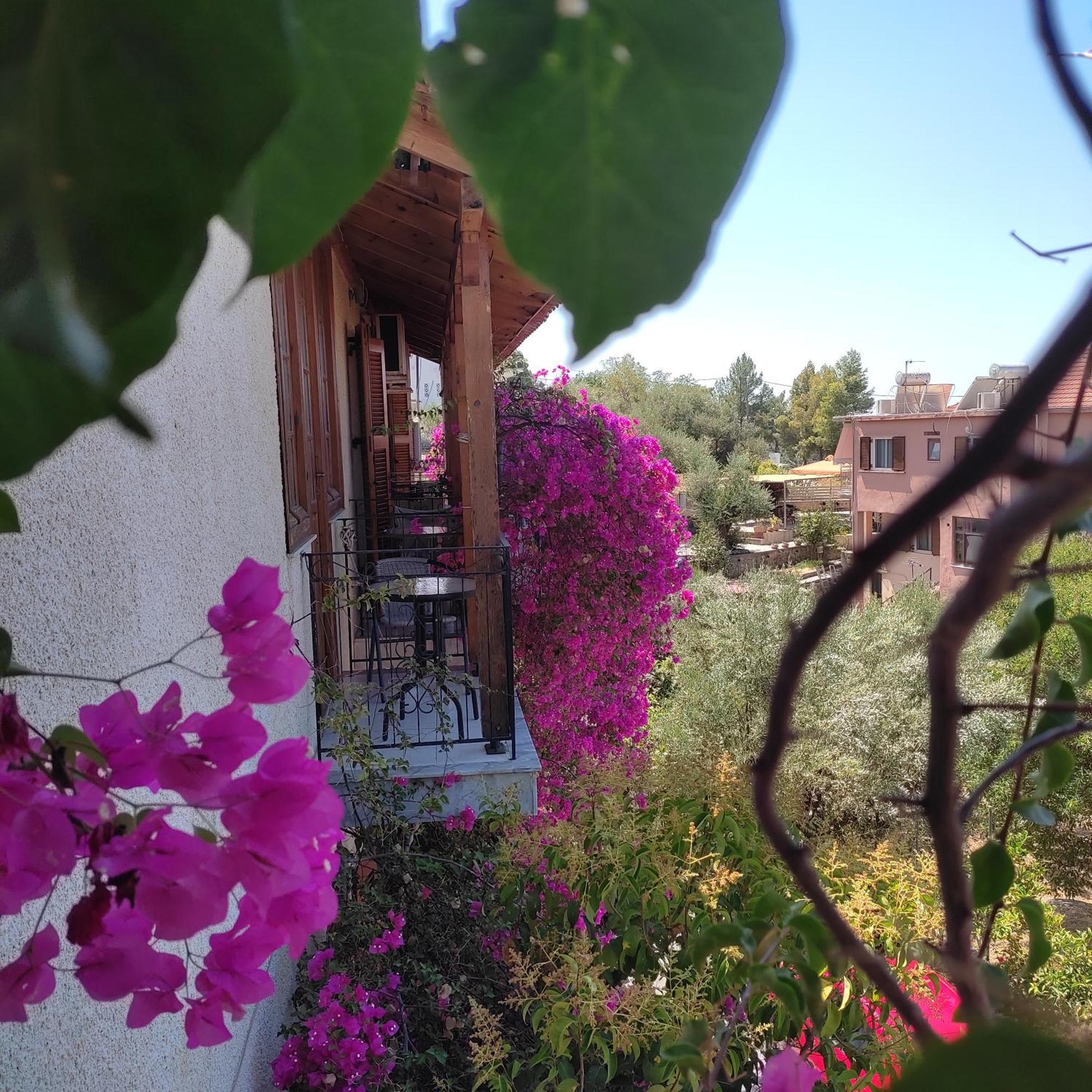 Iliolithos Rooms Кардамили Екстериор снимка